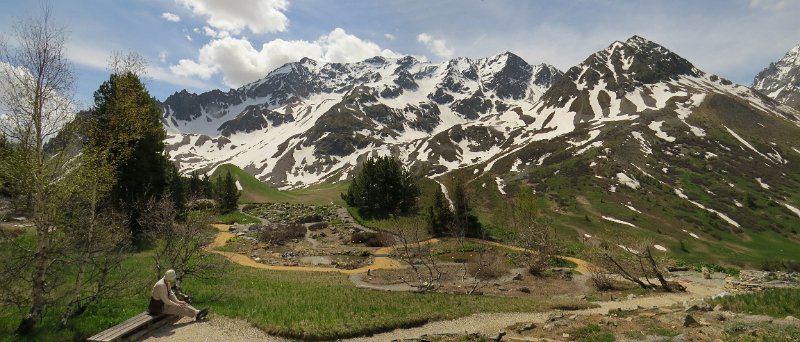K (6) The Alpine Garden at the Col de Lautaret.jpg